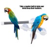 PVC Bird Bath Shower Bathing Perch Stand with Suction Cup