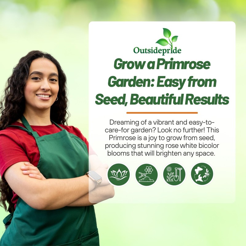 Outsidepride 50 Seeds Annual Primula Common Primrose Rose White Bicolor