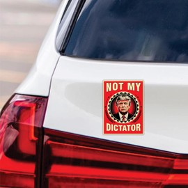 Protest Magnet, Resist Hate Magnet, Anti-Trump, Resist Racism Car Decal, Resist Fascism - 6" x 4.5"