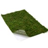 BYHER Dried Moss Mat for Wedding Birthday Party Fairy Garden