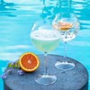 BubbleWally Floating Wine Glasses for Pool (18 Oz | Set