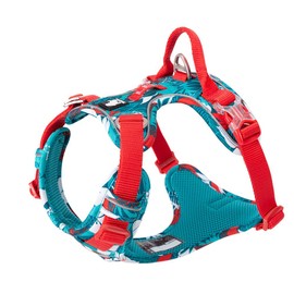 WINHYEPET True Love No-Pull Dog Harness, Adjustable Outer Vest, Reflective Nylon Harness for Soft Pets, Dog, Suitable for Small, Medium Breeds, TLH5653 (Amber Blue, XL)