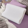 Sleep Innovations Memory Foam Contour Pillow, Queen Size, Head, Neck,