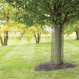 A.M. Leonard Mesh Panel Tree Guards, Pack of 10 Guards