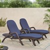 Christopher Knight Home Caspar Outdoor Water Resistant Chaise Lounge Cushions,