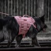 OneTigris Large Tactical Dog Harness, No Pulling Adjustable Dog Vest
