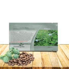 Outsidepride Zanzibariensis Castor Bean Seeds - 50 Pcs Annual Quick-Growing Tropical Flower Seeds for Planting Vibrant Foliage & Colorful Blooms for Eye-Catching Borders, Gardens & Landscapes