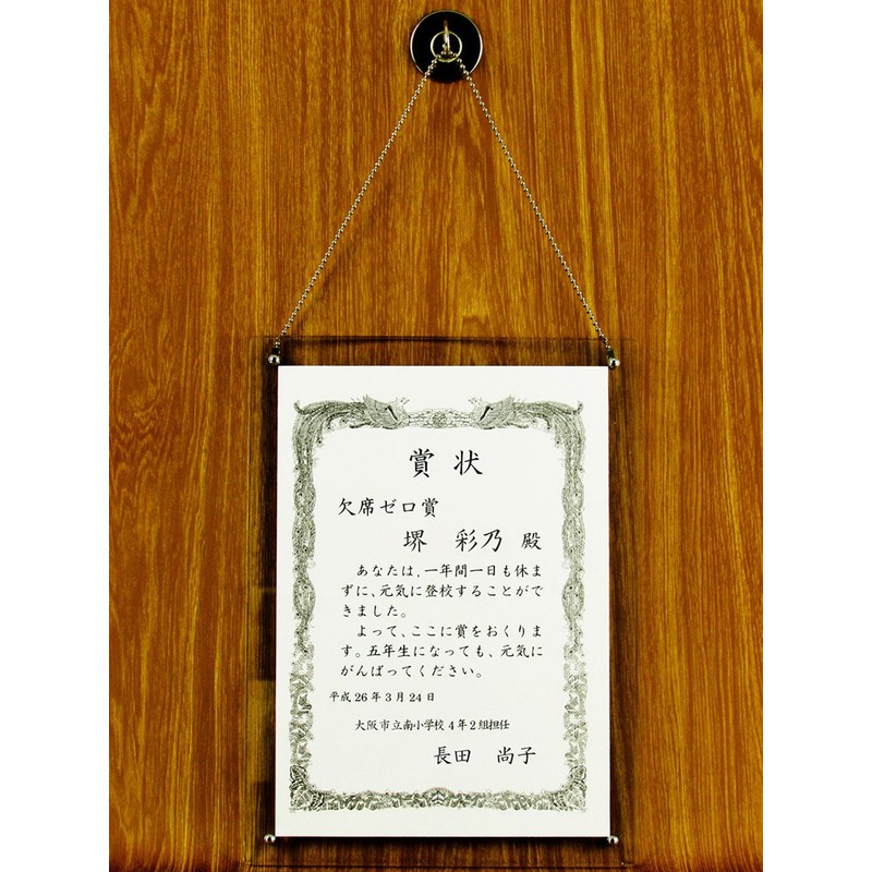 Veros PE-052B Clear Framing Award Frame B5 Clear