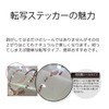 ROOMplus pictoc2 Toilet Sign Stylish Scandinavian Seal Decal [center_bla]