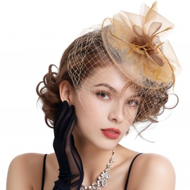 coclothy Fascinators Hats for Women Flower Mesh Ribbons Feathers on a Headband and a Clip Tea Party Headwear for Girls and Women