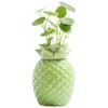 JHNIF Colorful Porcelain Vase, Ceramic Pineapple Hydroponic Small Vase