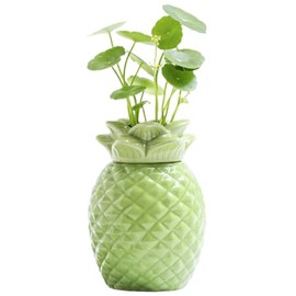 JHNIF Colorful Porcelain Vase, Ceramic Pineapple Hydroponic Small Vase