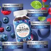 Cortisol Gummies for Women Men, 13-in-1 High Cortisol Reducer with