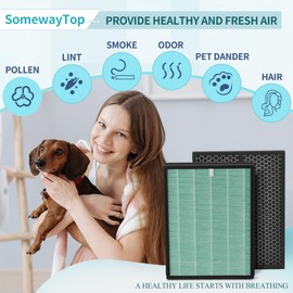 BioGS 2.0 Filters Replacement Kit Compatible with Rabbit Filter Replacement SPA-550A and SPA-625A, Air Cleaner to Remove Odor for Home and Large Room, 1x H13 True HEPA and 1x Carbon