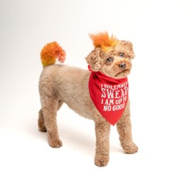 I Swear I'm Up to No Good Dog Bandana | 100% Cotton Adjustable Triangle | Made in USA | Funny Matching Costume | Mischief | Playful Quote Sayings | Red, One Size (1101) GB