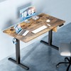 Sweetcrispy Height Adjustable Electric Standing Desk, 40 x 24 Inch