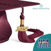 Endea Graduation Shiny Cap & Tassel (Garnet, 2025)