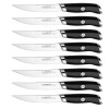 HAUSHOF 8 PCS Stainless Steel Steak Knives Set Premium Serrated