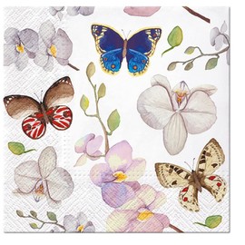 20 Napkins Butterflies on Orchids Animals Animal Motif Spring Summer Easter Table Decoration 33 x 33 cm