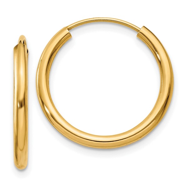 Jewelry Stores Network 2mm Endless Hoop Earrings Polished in Real