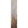 FarmHouse Fresh Citrine Beach Body Milk Hand Cream, 2.4 Ounce