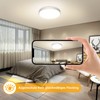 OOWOLF Metallic Ceiling Light LED Lamp - 2 Pack 24