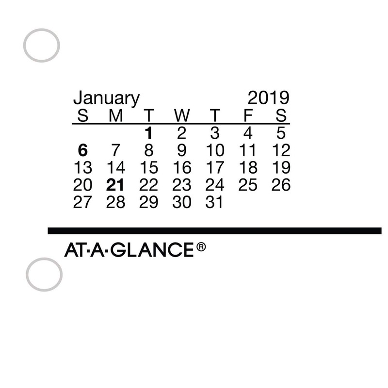 AT-A-GLANCE Daily Desk Calendar Refill, January 2019 - December 2019,
