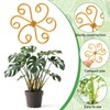 Augshy 4 Pcs Plant Stem Support,Gold Metal Climbing Holder Stabilizer