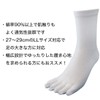 (971) Men's 5 Toe Socks, Made in Japan, LL, Double