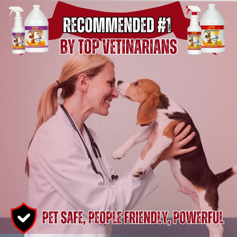 Mister Max Original Scent Anti Icky Poo Odor Remover, Gallon