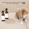 Muse Apothecary Home Ritual Active Odor Eliminator Spray - Odor