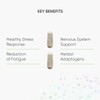 Nutri Advanced - Resilience - Stress Support with Ashwagandha, Ginseng,