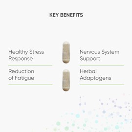 Nutri Advanced - Resilience - Stress Support with Ashwagandha, Ginseng, Lemon Balm and Mushroom Extracts with L-theanine and Vitamins - 60 Capsules