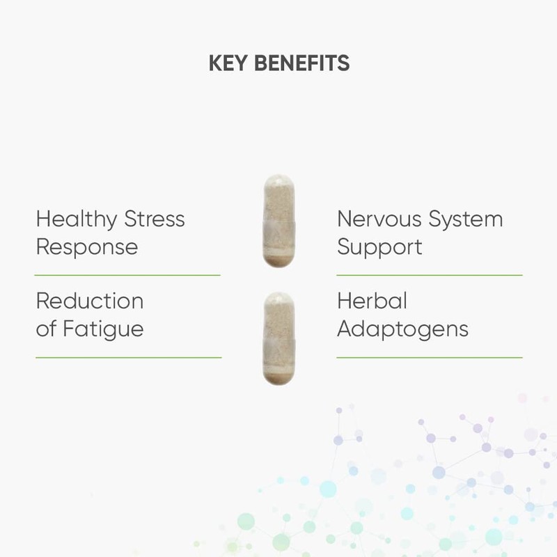 Nutri Advanced - Resilience - Stress Support with Ashwagandha, Ginseng,