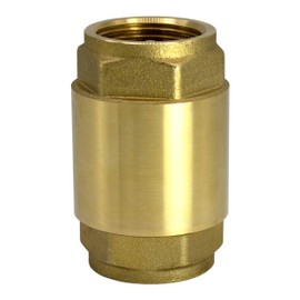 Variosan One-Way Valve, Brass, PN 25, IG.