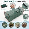 Collapsible Fish Trap for Outdoor Fishing - Portable Mesh Fish