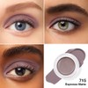 FeiCuiYun Monochrome Glittle Eyeshadow, Shimmer Eyeshadow, Nude Glittle & Matte