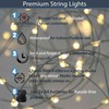 QBIS Battery Operated Christmas Lights, 100 Warm White Battery Operated