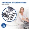 Bearing Set/Clamp Replacement for Bosch Siemens Neff 00428344 428344 for