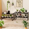 Garden 4 you 2 Tier Metal Plant Stand Outdoor Indoor