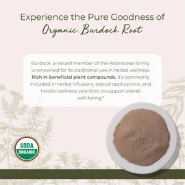 Starwest Botanicals Burdock Root Powder Organic - Natural Source of Antioxidants, Loose Herb for Tea, Rice, Soup, & Stews, Certified Kosher, Non-GMO - 4 oz Pouch