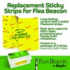 Happy Jack Gardstrips Replacement Glue Pads for Flea Traps, Attracts