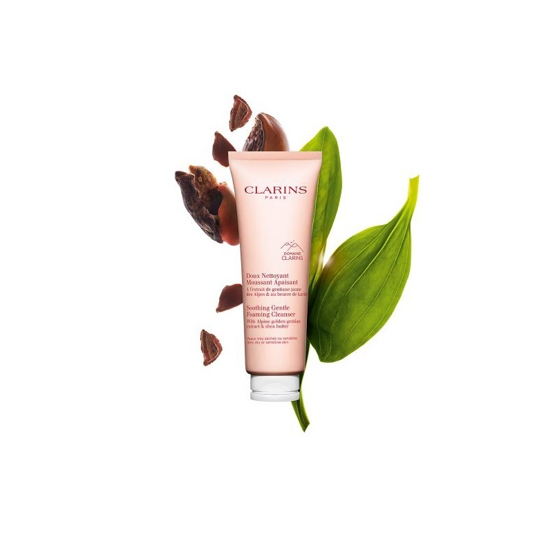 (Clarins) Gentle Foaming Cleanser 125ml Soothing Cleanser / (클라랑스) 젠틀