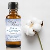Abbey & Sullivan Fragrance Oil, Clean Cotton, 1 oz.