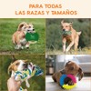 Juguete de Cuerda para Perros, 10pc, Cuerdas para morder y