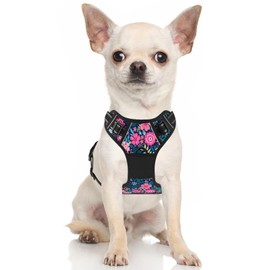 Rnivvi No Pull Dog Harness, Cute Flower Reflective Small Sized Puppy Kitten Harness, Adjustable Soft Padded Vest for Small Dogs, Cats, Heavy Duty Pet Vest with Easy Control Handle for Walking, Elegant