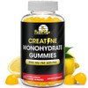 Flamingo Supplements Suplemento gomoso de creatina masticables preentrenamiento con monohidrato