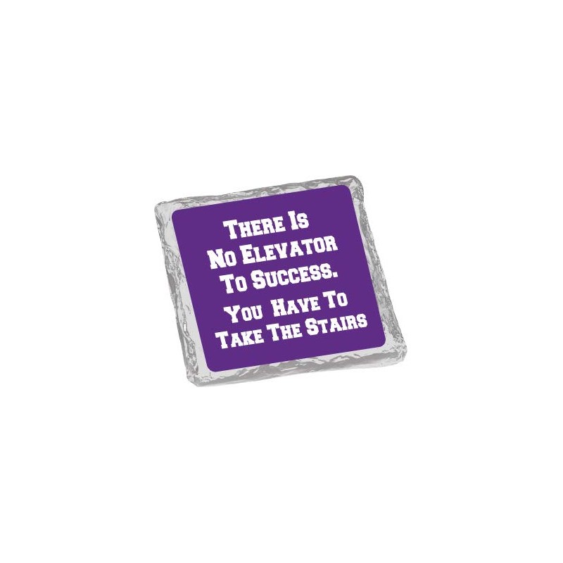 Back-to-School - Chocolate Covered Graham Crackers - 12 piece