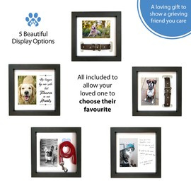 PAWCEPTIVE Dog Memorial Picture Frame with 5 Display Options- Dog Collar Memorial Frame Gift - Cat or Dog Pet Loss Gift for a Grieving Friend - Pet Remembrance Gift and Sympathy Photo Keepsake