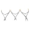 3pcs Residual Root Forceps Set Stainless Steel Dental Root Fragments